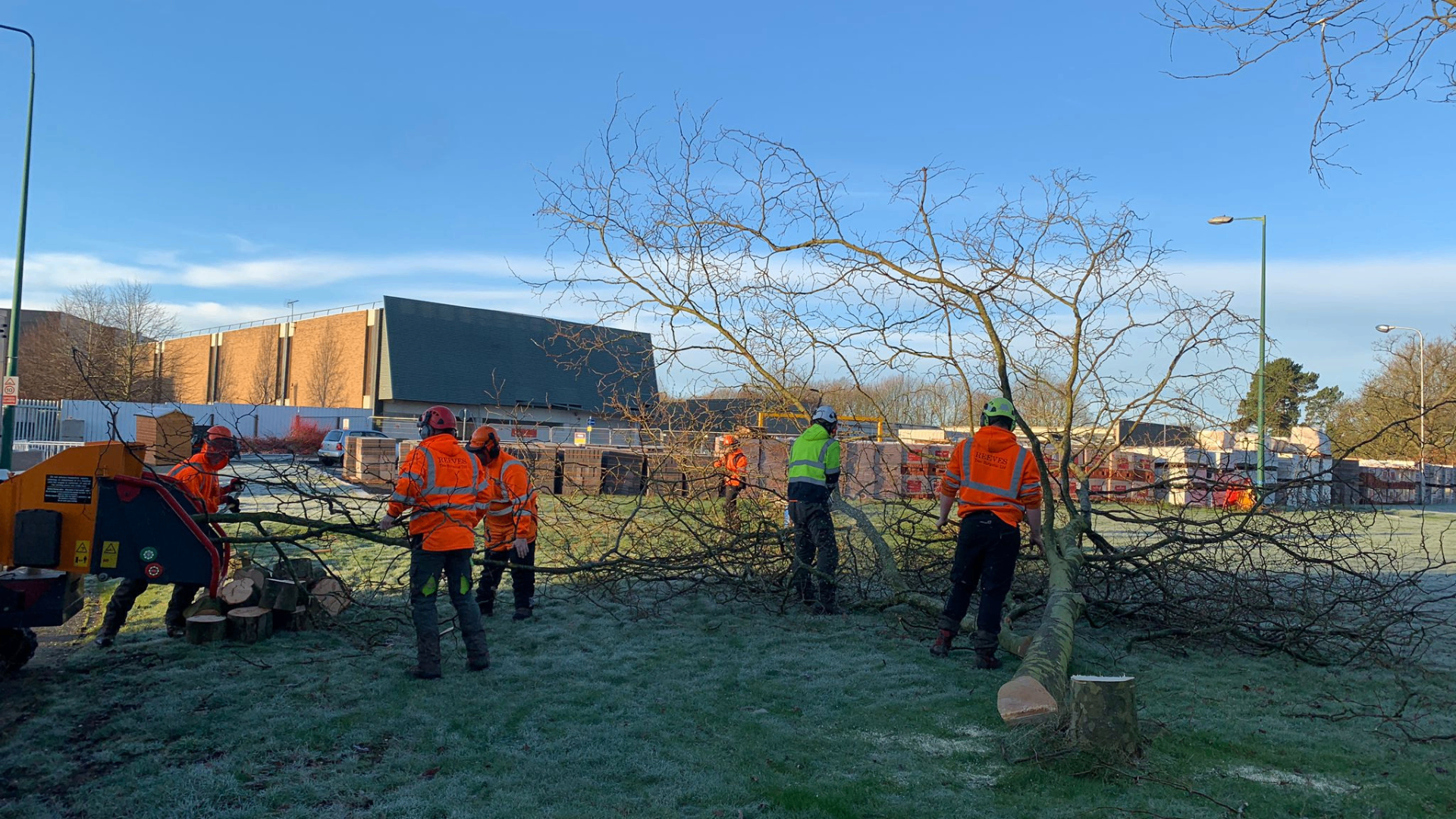 Team Tree Work